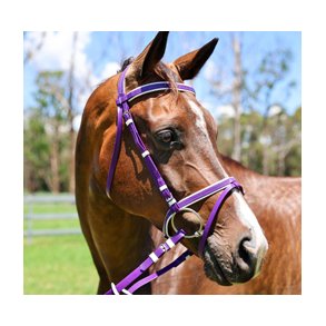 Trenser og tilbeh&oslash;r