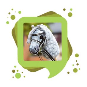 Kæpheste & Tilbehør