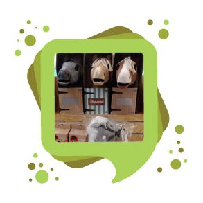 Kæphest & Mini Toy Pony