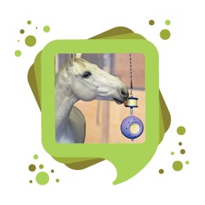 Godbidder og Heste legetøj