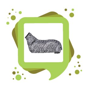 Flue- & Eksemd&aelig;kken