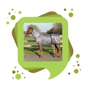 Flue- og eksemdækken