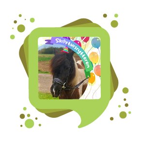 Fødselsdagstilbud 1-12 til 6-12 2025