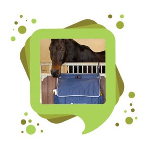 Sadelrum & Staldgang