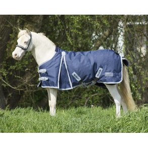Hest