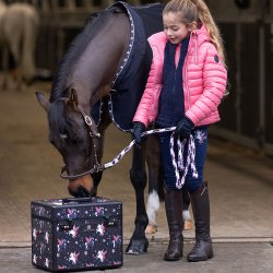 Striglekasse eller Striglebox fra IR "Shiny Pixie Dust"