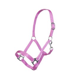 Grime velegnet til fold fra HKM - Innsbruck