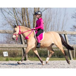  Rebgrime med tjle fra QHP str. Shetlnder til Full i friske farver