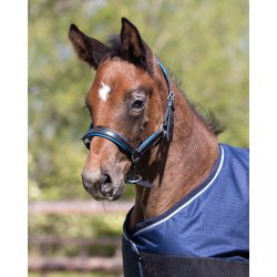 Grime til fl i lder fra Qhp - Bl eller pink