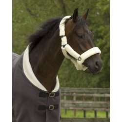 Grime med Plys fra QHP 