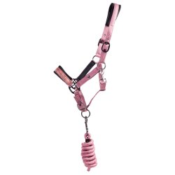 Grinest fra QHP med trktov " Astana" Gammelrosa