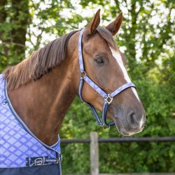 Grime med trktov fra QHP i friske farver 