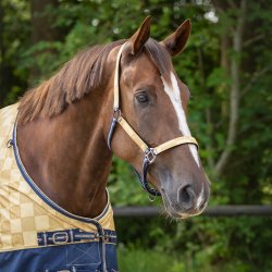 Grime med trktov fra QHP i friske farver 