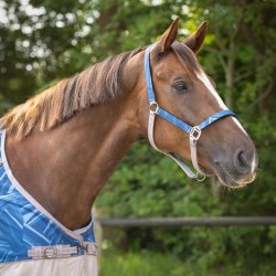 Grime med trktov fra QHP i friske farver 