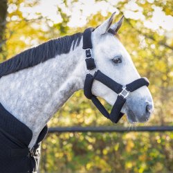 Grimest med trktov til sensitive heste fra QHP- Sort