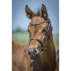 ByWeber Flgrime og showgrime 