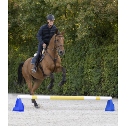 Cavaletti hj bomholder fra waldhausen 1 stk.