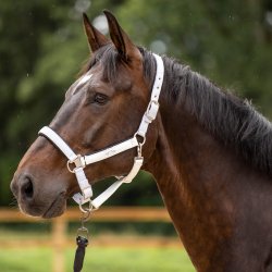 Grime med glitter fra HV-Polo "Skye - Nina" Sort, Slv, Hvid