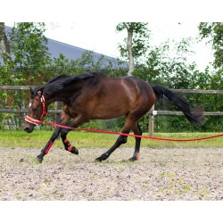 Kapsun med plys foring i friske farver 