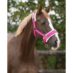 Kapsun med plys foring i friske farver 