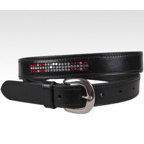 Blte i lder med dannebrogsflag fra Campus