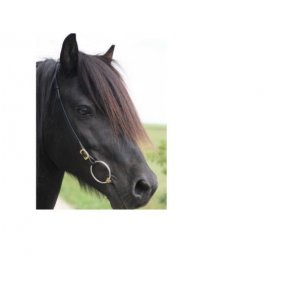 Karlslund - Nakkerem uden pandeb�nd.