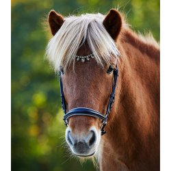 Waldhausen-Islnder trense med drbeformede sten-Ice crystal