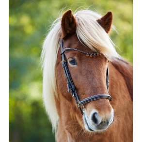 Trense til Isl�nder med dr�beformede sten fra Waldhausen-Ice crystal