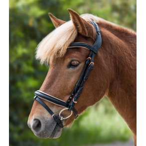 Islnder trense fra Waldhausen 