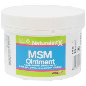 NAF NaturalintX MSM Ointment