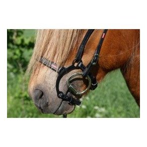 Karlslund - B�jle n�seb�nd.