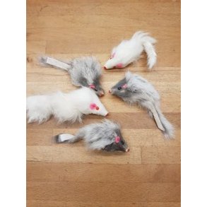 5 stk Legetjsmus til katte 