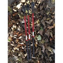 HKM pisk i rd/sort (Spring)