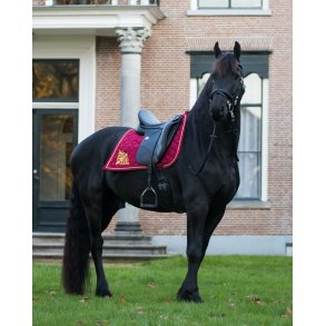 Spansk underlag med flot broderi