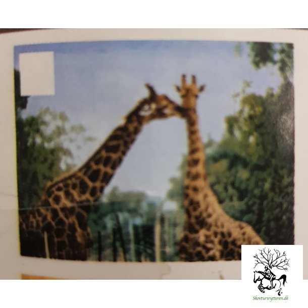 Fleece tppe med giraffer 170 x130 cm