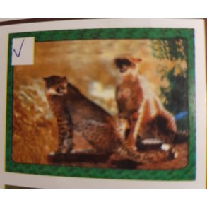 Fleece tppe med leoparder 170 x 140 cm 