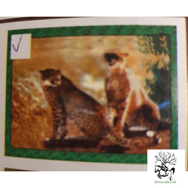 Fleece tppe med leoparder 170 x 140 cm 
