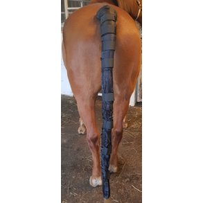 Halebeskytter-Lang model