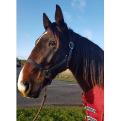 Waldhausen Grime i super strap 