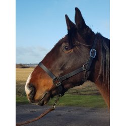 Waldhausen Grime i super strap 