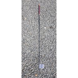 Dressur pisk "Wayomi"