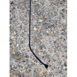 Dressur pisk i Carbon i sort /gr