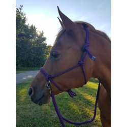 Rebgrime med tjler fra Imperial Riding "Ambient" flere farver 