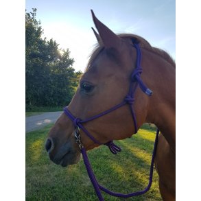 Rebgrime med tjler fra Imperial Riding 