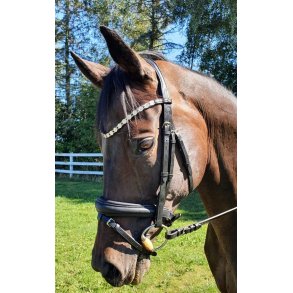 Trense med  Margueritter og tilbagetrk fra ByWeber 