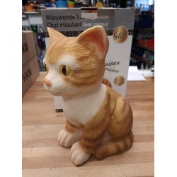 Miawuende Kat i sensor