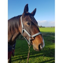 Grime med foring fra IR "Ambiet - Sage Green" med rosegold