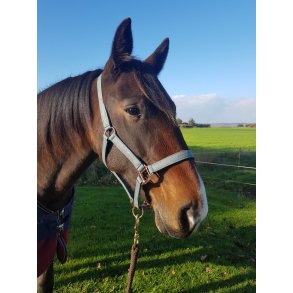 Grime med foring fra IR 