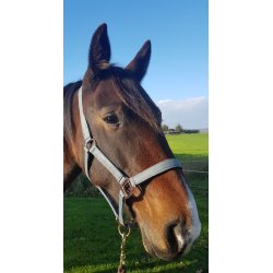 Grime med foring fra IR "Ambiet - Sage Green" med rosegold