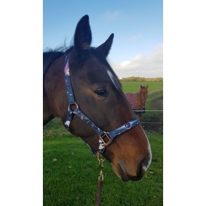 Grime med bld foring fra IR 